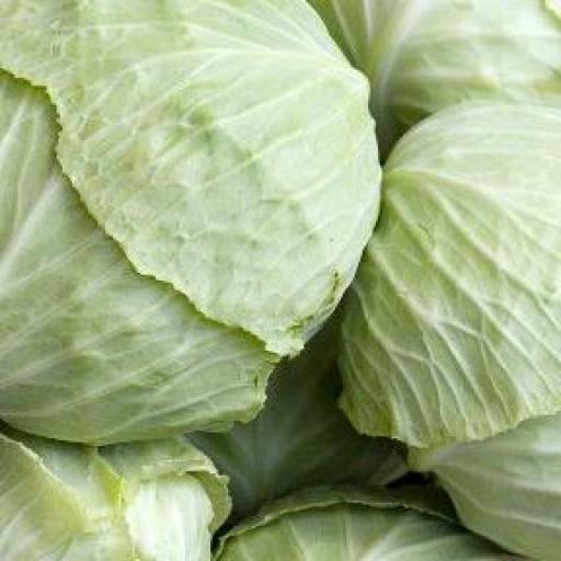 Organic Cabbage, Green - individual