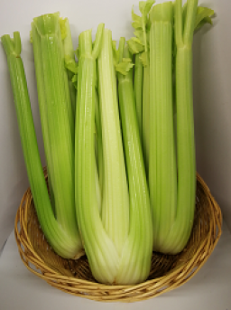 celery-individual-73-p.png