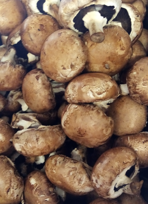Chestnut Mushrooms.png
