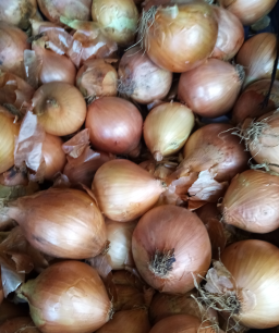 White Onions.png