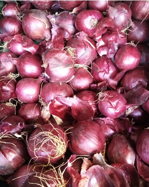 Red Onions.jpg