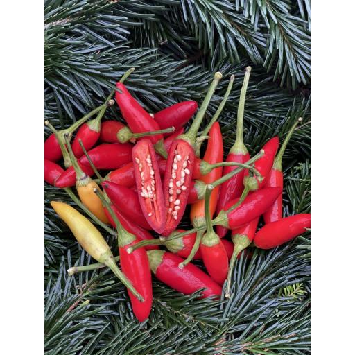 Organic Chillies, Red - Pack of 3