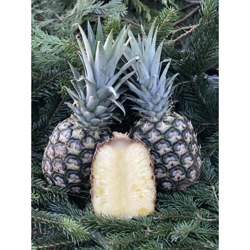 Organic Pineapple - Individual