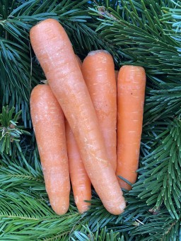 Clean Carrots.jpg