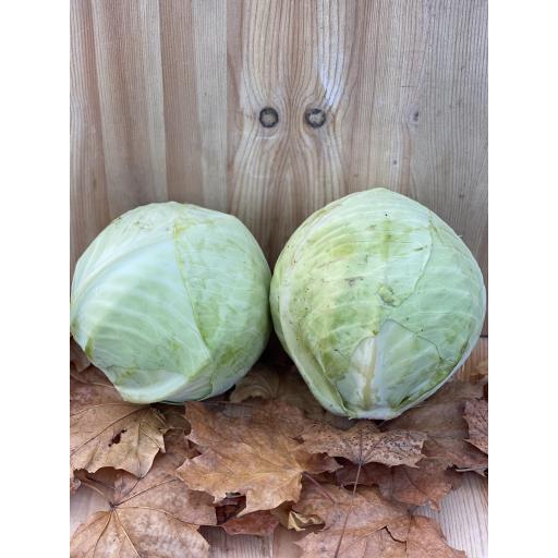 Organic Cabbage, White - 1kg