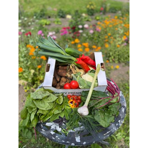 Organic Salad & Vegetable box - Fortnightly