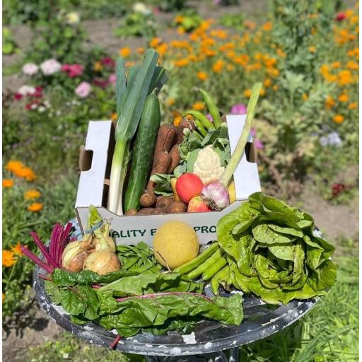 Organic Veg & Fruit & Salad box - One Off