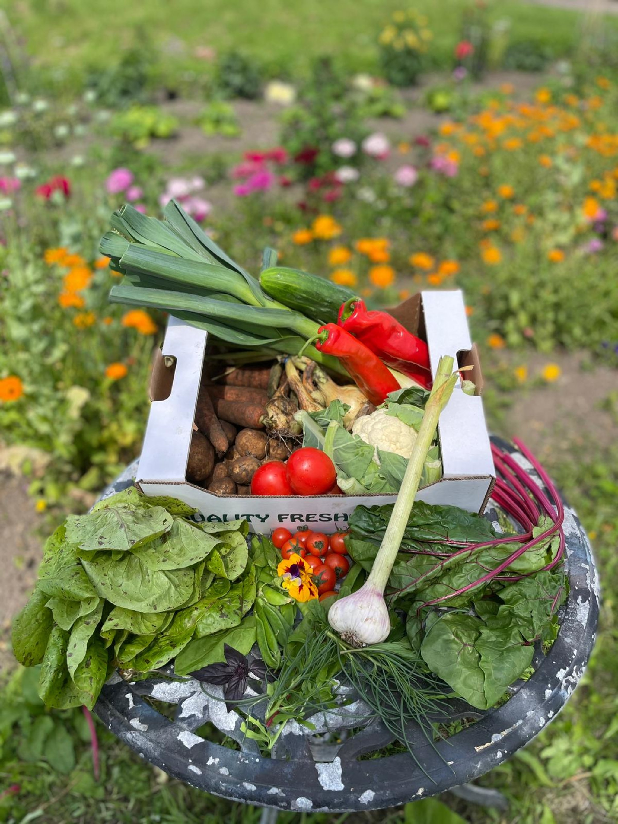 Organic Salad And Vegetable Box One Off Trinity Farm
